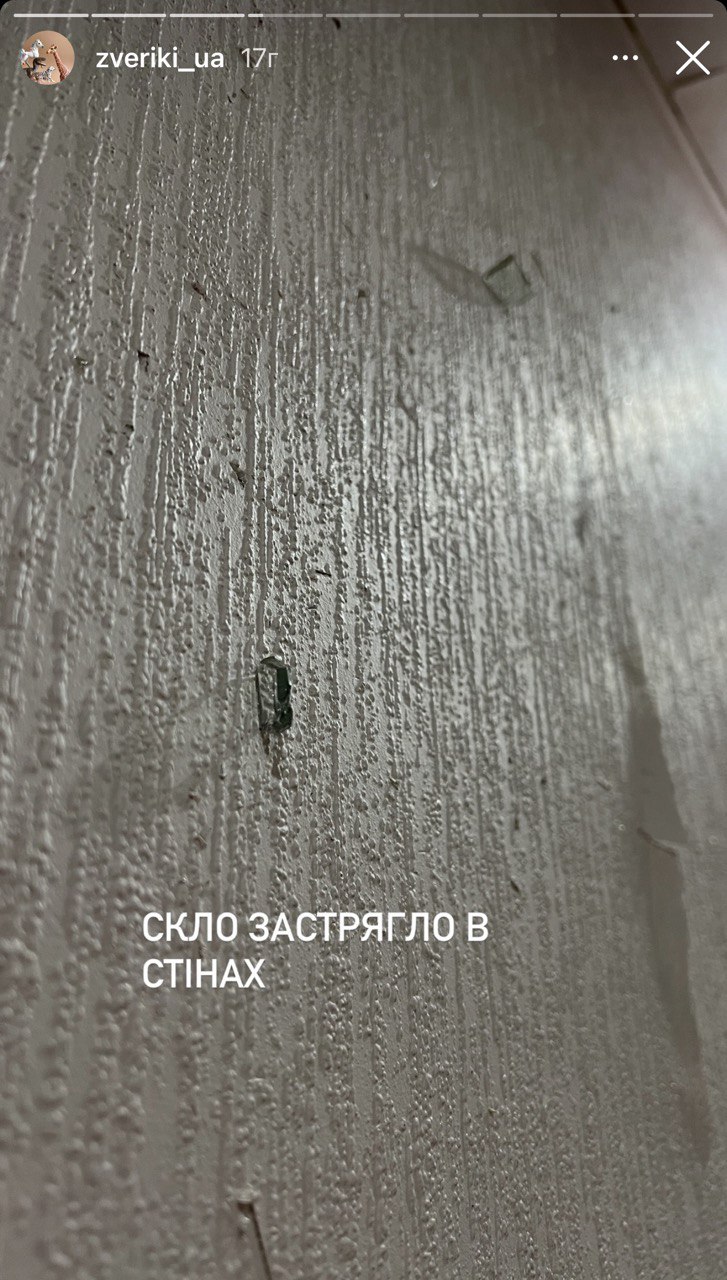 "Скло застрягло в стінах": мешканка Харкова показала розгромлену квартиру після обстрілу РФ (відео)